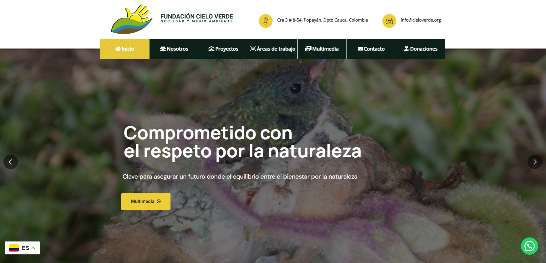 Sitios web ONG'S